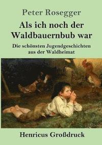 bokomslag Als ich noch der Waldbauernbub war (Grodruck)