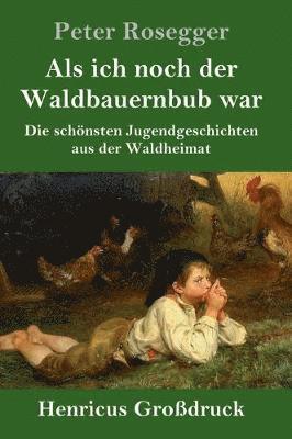 bokomslag Als ich noch der Waldbauernbub war (Großdruck)