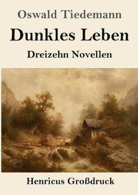 bokomslag Dunkles Leben (Großdruck)