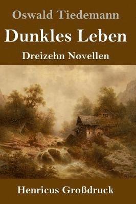 bokomslag Dunkles Leben (Großdruck)