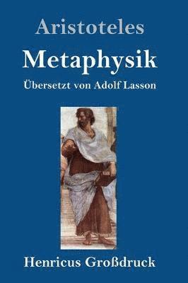 bokomslag Metaphysik (Großdruck)