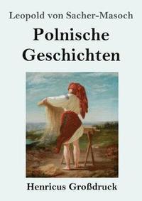 bokomslag Polnische Geschichten (Grodruck)