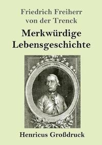 bokomslag Merkwürdige Lebensgeschichte (Großdruck)