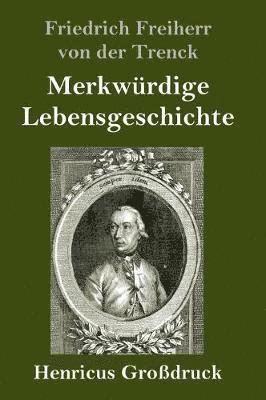 bokomslag Merkwürdige Lebensgeschichte (Großdruck)