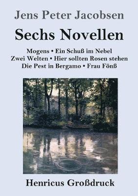 Jens Peter Jacobsen - Sechs Novellen (Großdruck), Häftad