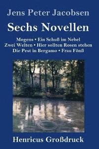 bokomslag Sechs Novellen (Grodruck)