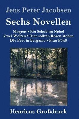 bokomslag Sechs Novellen (Grodruck)