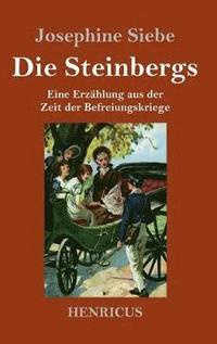bokomslag Die Steinbergs