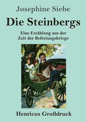bokomslag Die Steinbergs (Grossdruck)