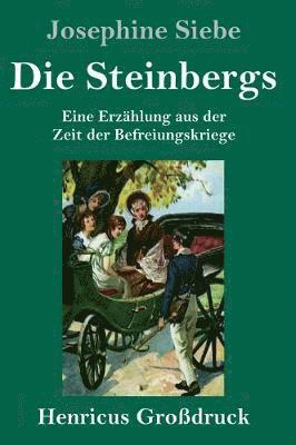 bokomslag Steinbergs (Großdruck)