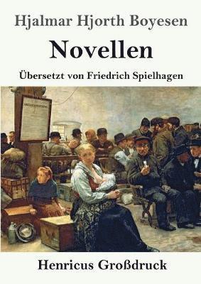 bokomslag Novellen (Grodruck)