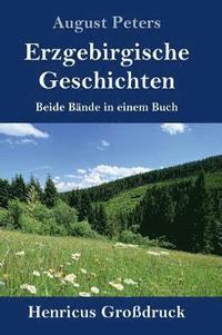bokomslag Erzgebirgische Geschichten (Großdruck)