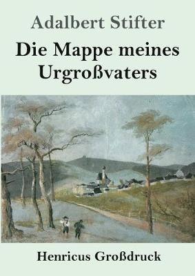 Adalbert Stifter - Mappe meines Urgroßvaters (Großdruck), Häftad