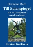 Hermann Bote - Till Eulenspiegel (Großdruck), Inbunden