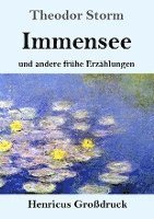 bokomslag Immensee (Großdruck)