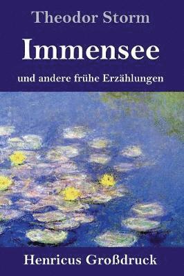 bokomslag Immensee (Großdruck)