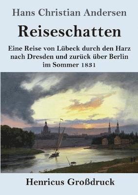 bokomslag Reiseschatten (Großdruck)