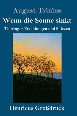 bokomslag Wenn die Sonne sinkt (Großdruck)