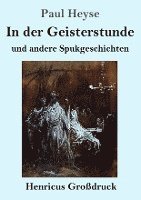 bokomslag In der Geisterstunde und andere Spukgeschichten (Großdruck)