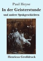 bokomslag In der Geisterstunde und andere Spukgeschichten (Grodruck)