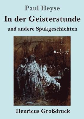 bokomslag In der Geisterstunde und andere Spukgeschichten (Grodruck)