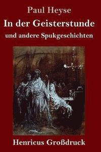 bokomslag In der Geisterstunde und andere Spukgeschichten (Großdruck)