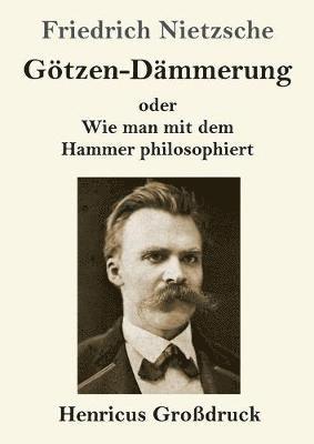 Friedrich Nietzsche - Götzen-Dämmerung (Großdruck), Häftad