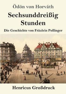 bokomslag Sechsunddreißig Stunden (Großdruck)