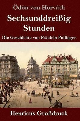 bokomslag Sechsunddreißig Stunden (Großdruck)