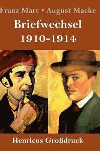bokomslag Briefwechsel 1910-1914 (Großdruck)