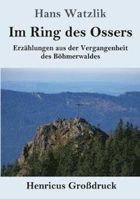 bokomslag Im Ring des Ossers (Grossdruck)