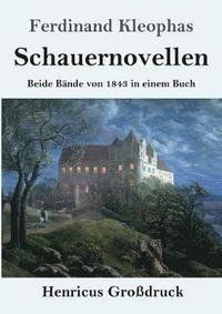 bokomslag Schauernovellen (Großdruck)