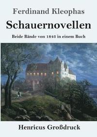 bokomslag Schauernovellen (Grossdruck)