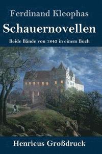 bokomslag Schauernovellen (Großdruck)
