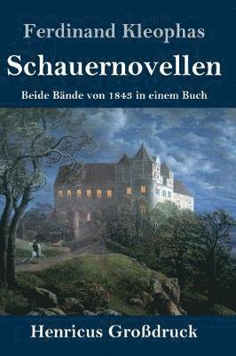 bokomslag Schauernovellen (Großdruck)