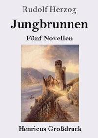 bokomslag Jungbrunnen (Grossdruck)