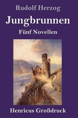 Jungbrunnen (Großdruck) 1