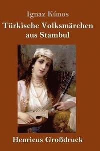 bokomslag Trkische Volksmrchen aus Stambul (Grodruck)