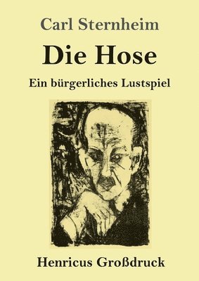 bokomslag Hose (Großdruck)
