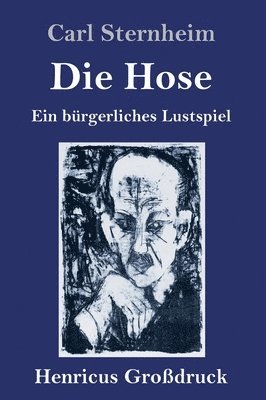 bokomslag Hose (Großdruck)