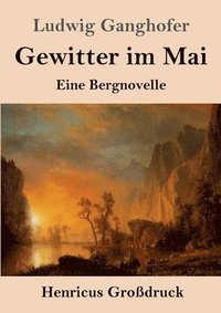 bokomslag Gewitter im Mai (Großdruck)