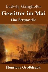 bokomslag Gewitter im Mai (Großdruck)