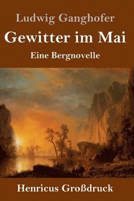 bokomslag Gewitter im Mai (Großdruck)