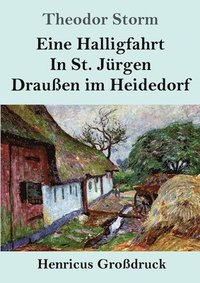 bokomslag Eine Halligfahrt / In St. Jurgen / Draussen im Heidedorf (Grossdruck)