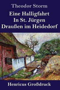 bokomslag Eine Halligfahrt / In St. Jrgen / Drauen im Heidedorf (Grodruck)