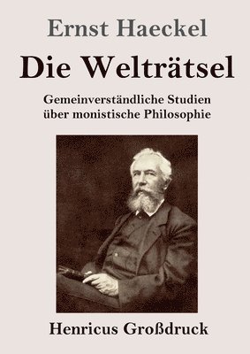 bokomslag Welträtsel (Großdruck)