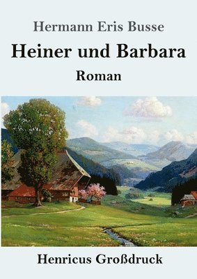 bokomslag Heiner und Barbara (Grodruck)