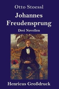 bokomslag Johannes Freudensprung (Großdruck)