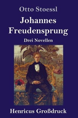 bokomslag Johannes Freudensprung (Großdruck)