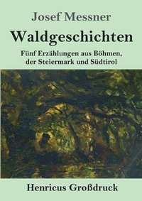 bokomslag Waldgeschichten (Grossdruck)